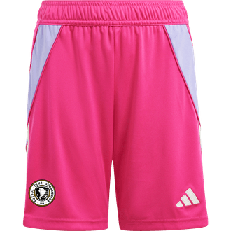 FC Sudamerica Pink GK Shorts