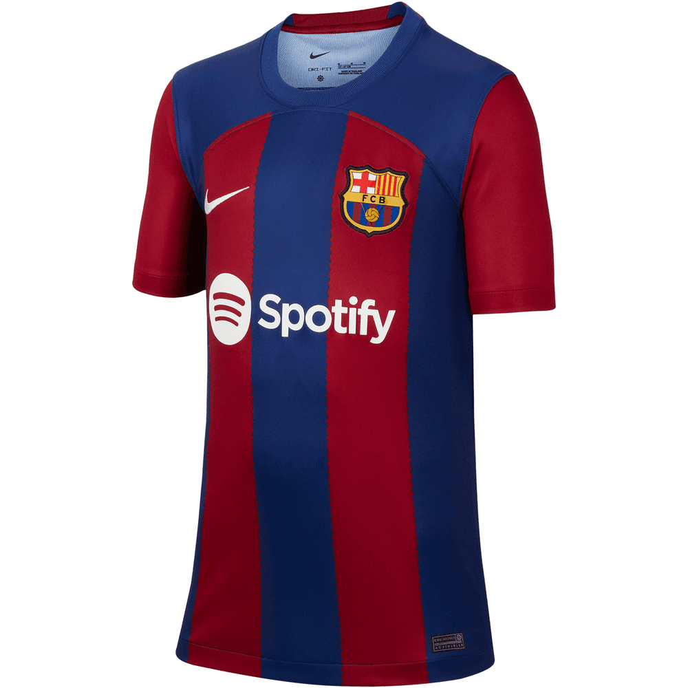 FC Barcelona 2023/24 Stadium Goalkeeper Big Kids' Nike Dri-FIT Soccer  Jersey.